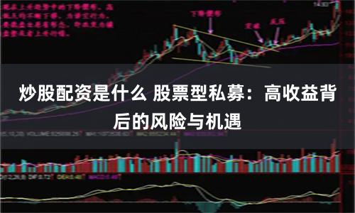 炒股配资是什么 股票型私募：高收益背后的风险与机遇