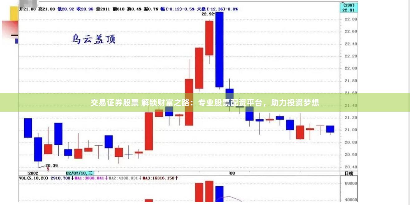 交易证券股票 解锁财富之路：专业股票配资平台，助力投资梦想